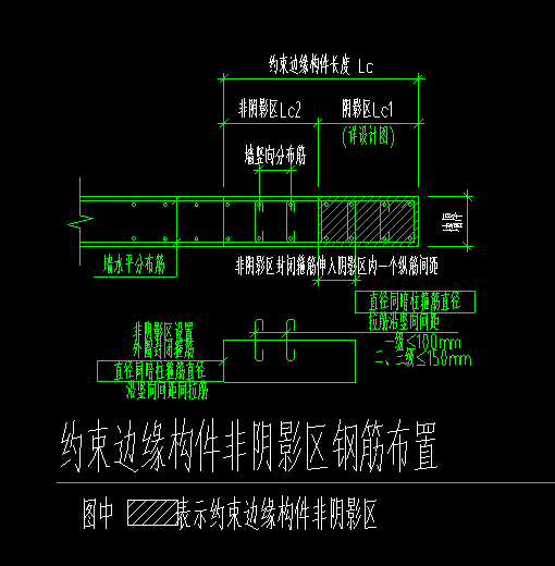 分布筋