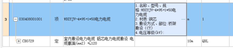 项目特征