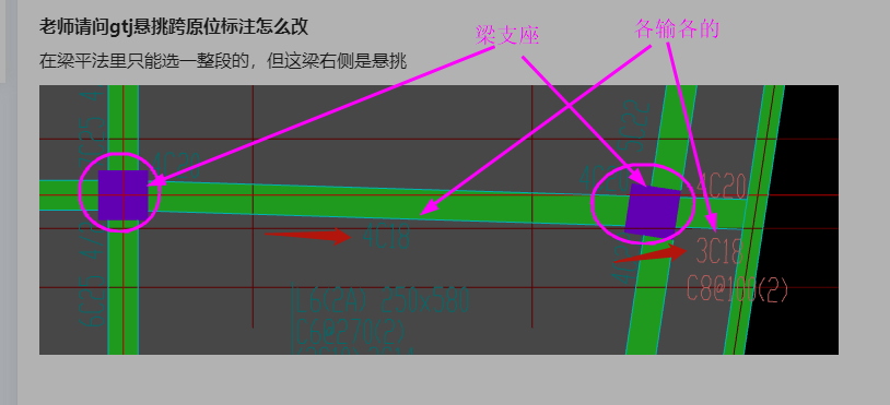 原位标注
