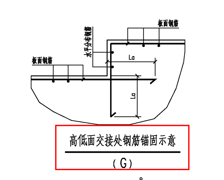 分布筋