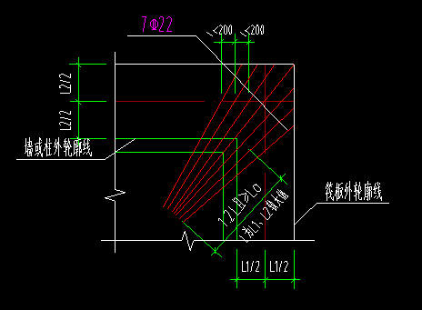 的放射筋