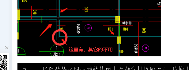放射筋
