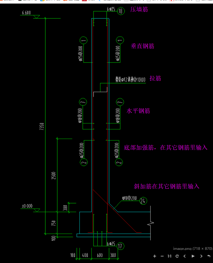 分布筋