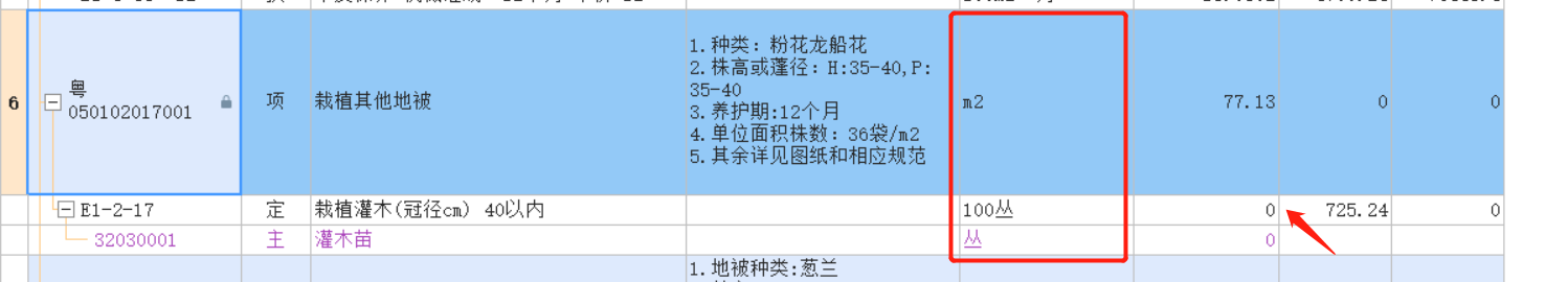 项目特征