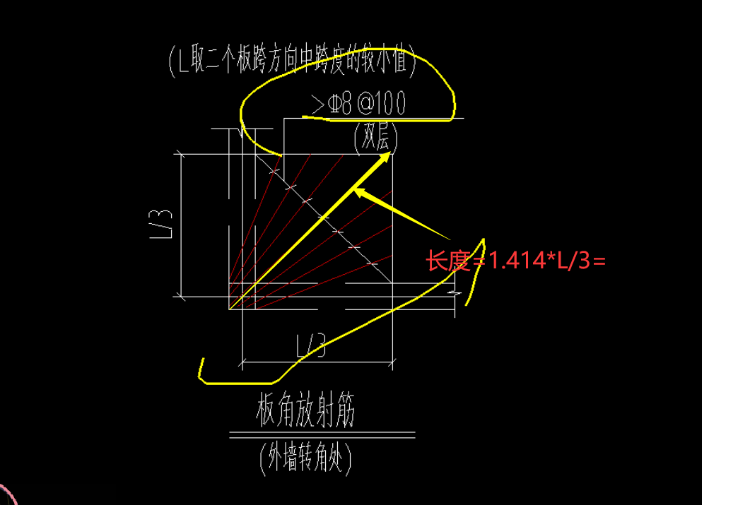 放射筋