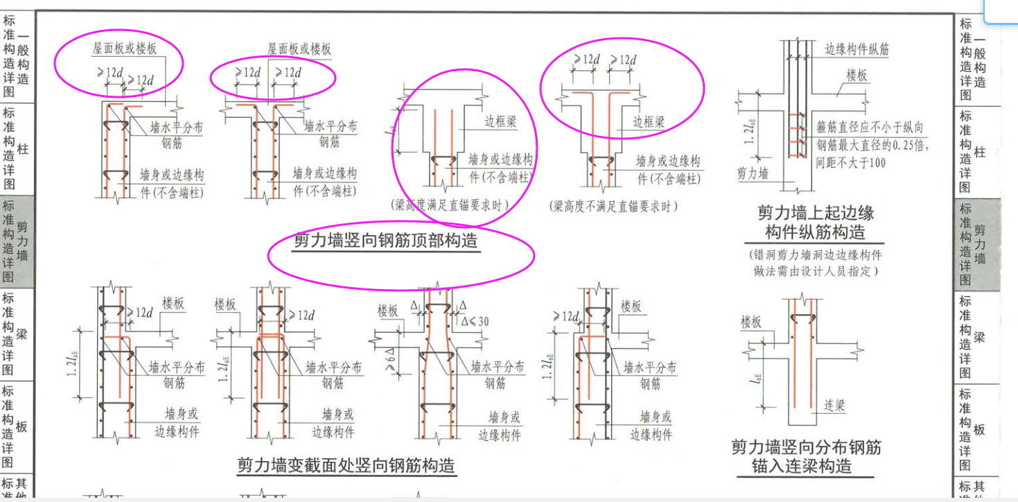 分布筋