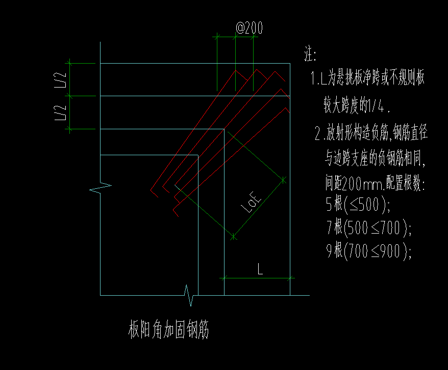 放射筋