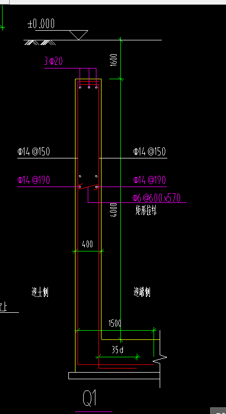 分布筋