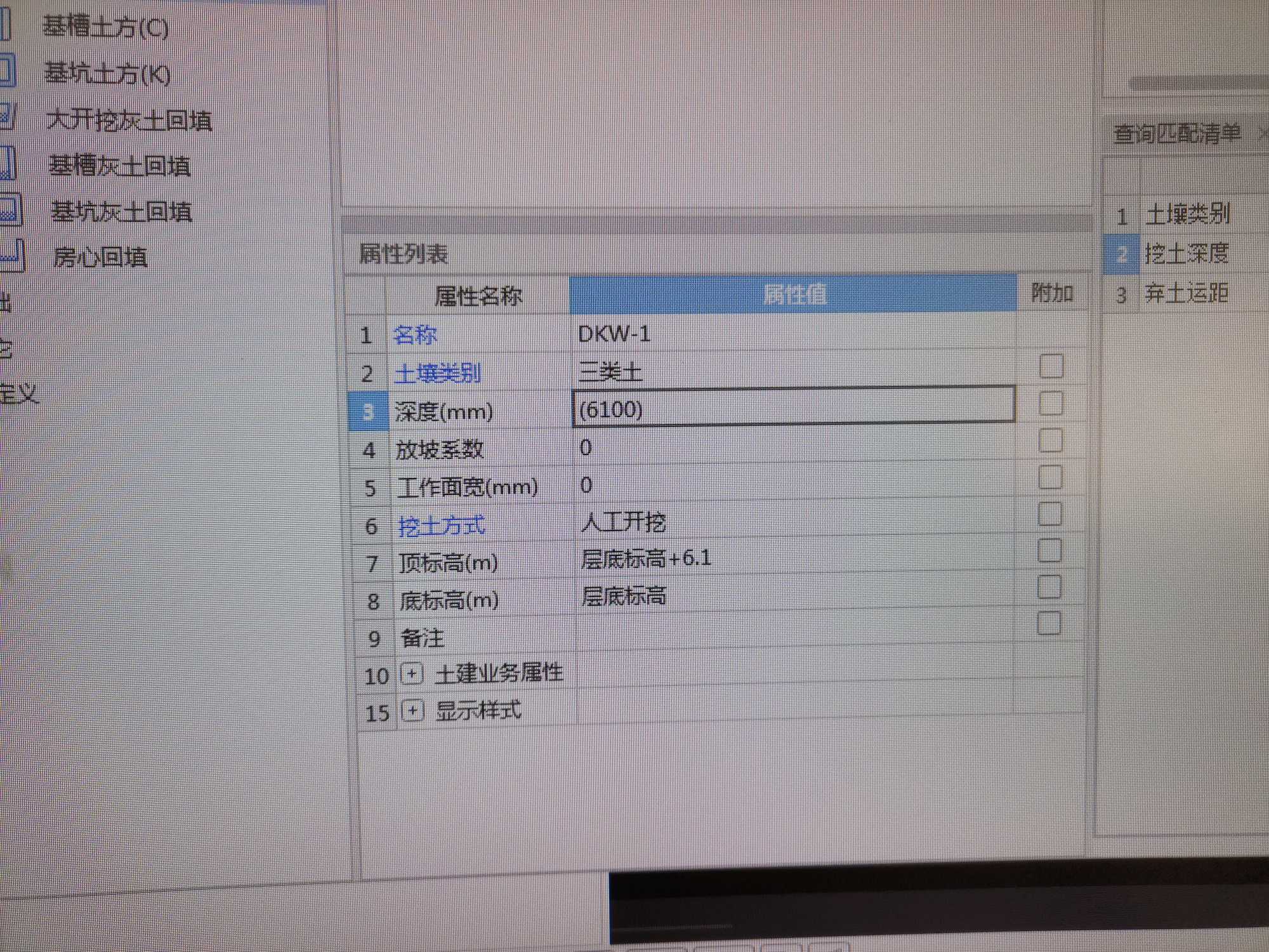 项目特征