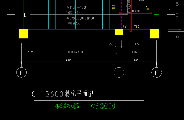 分布筋