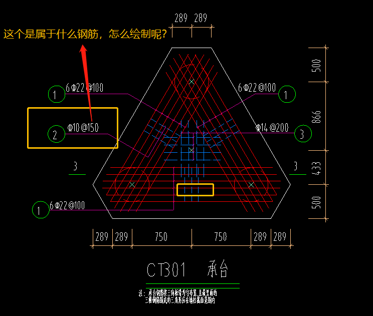 分布筋