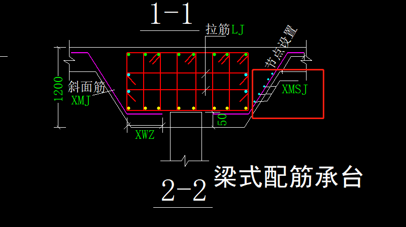 分布筋