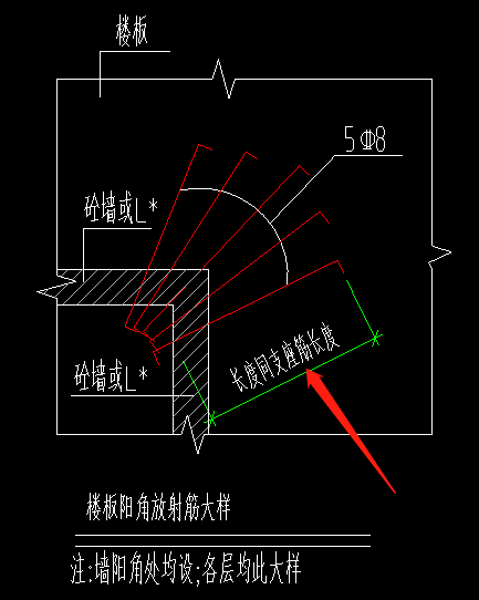 放射筋