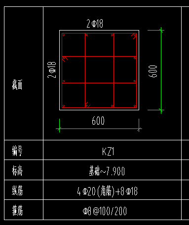 縱筋