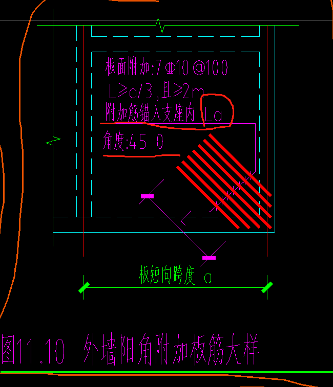 放射筋