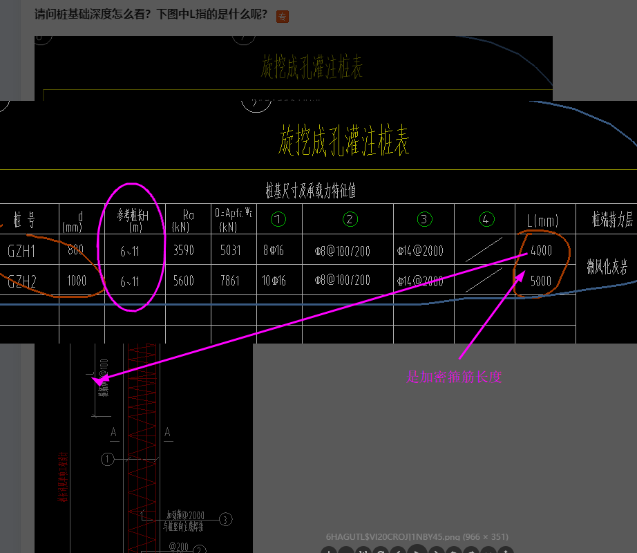 千赢官网首页登录入口服务新干线