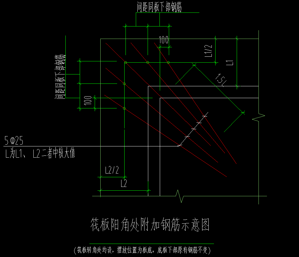 放射筋长度