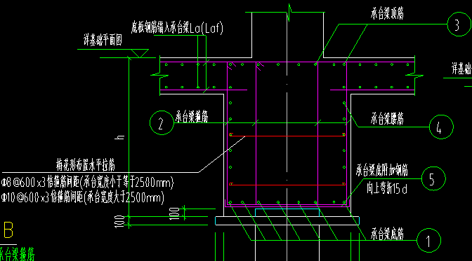 腰筋