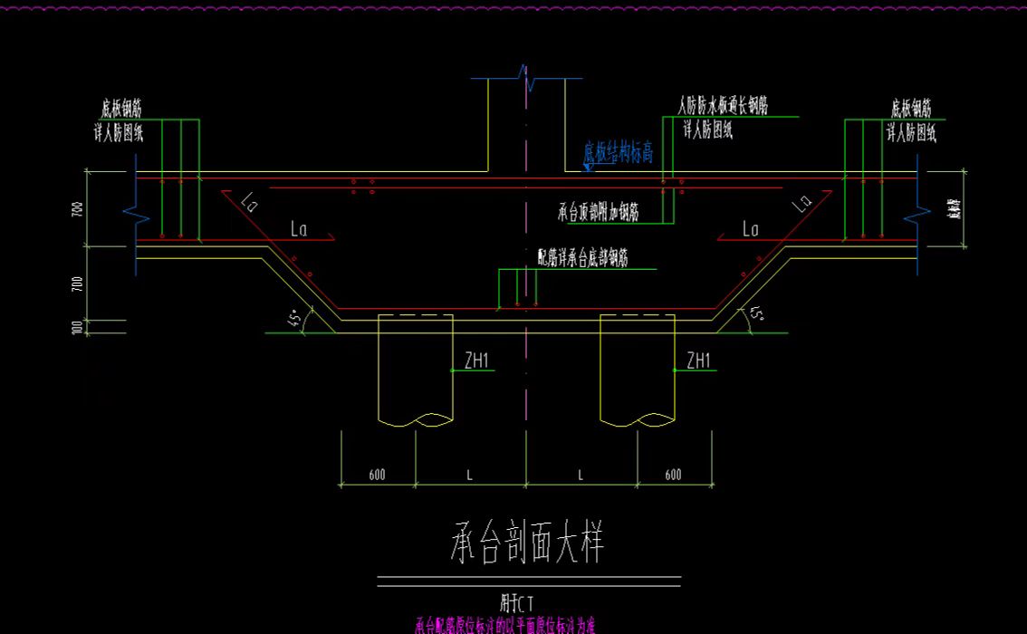 分布筋