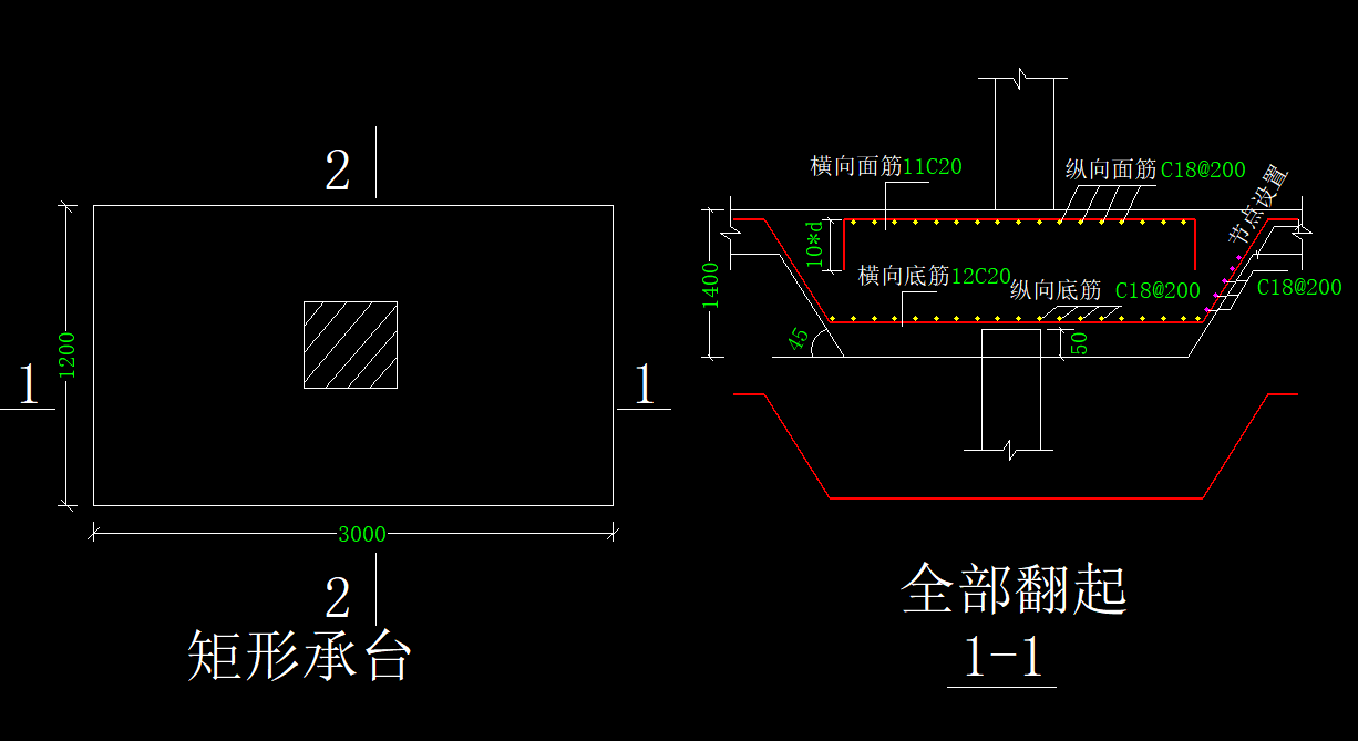 分布筋