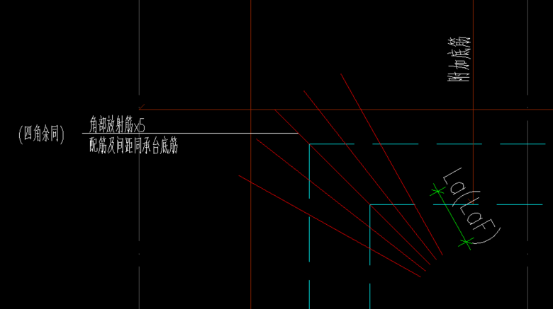 放射筋