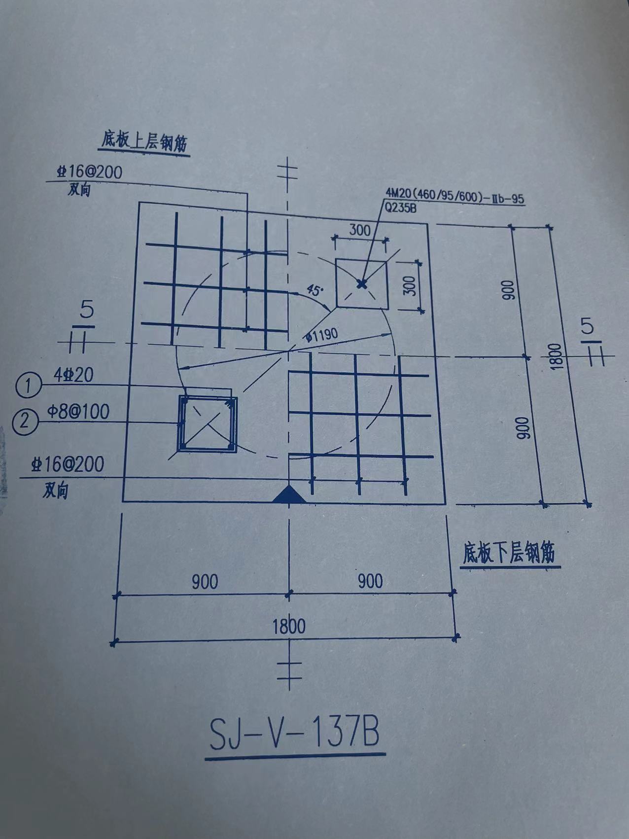 面筋