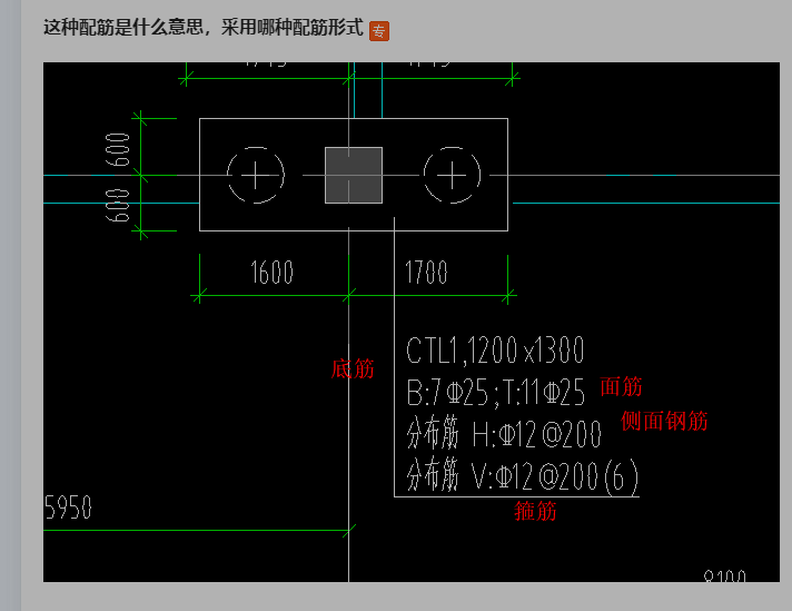 配筋是什么