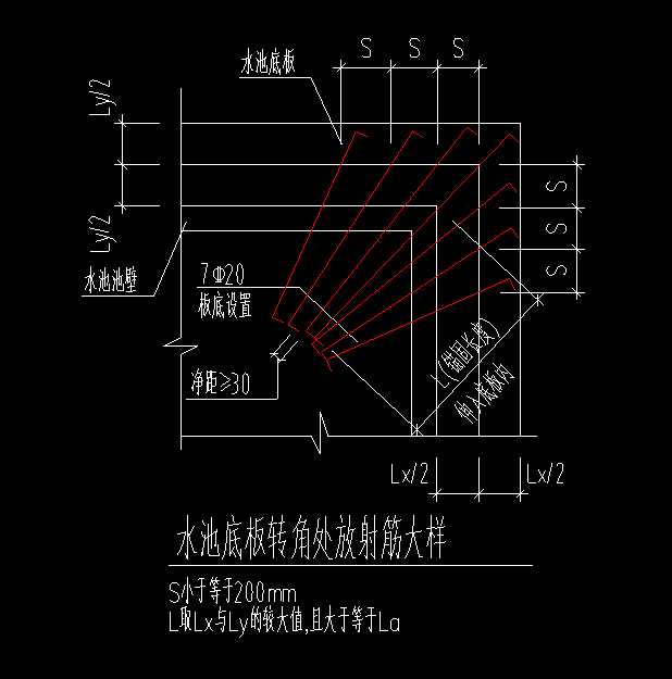 放射筋