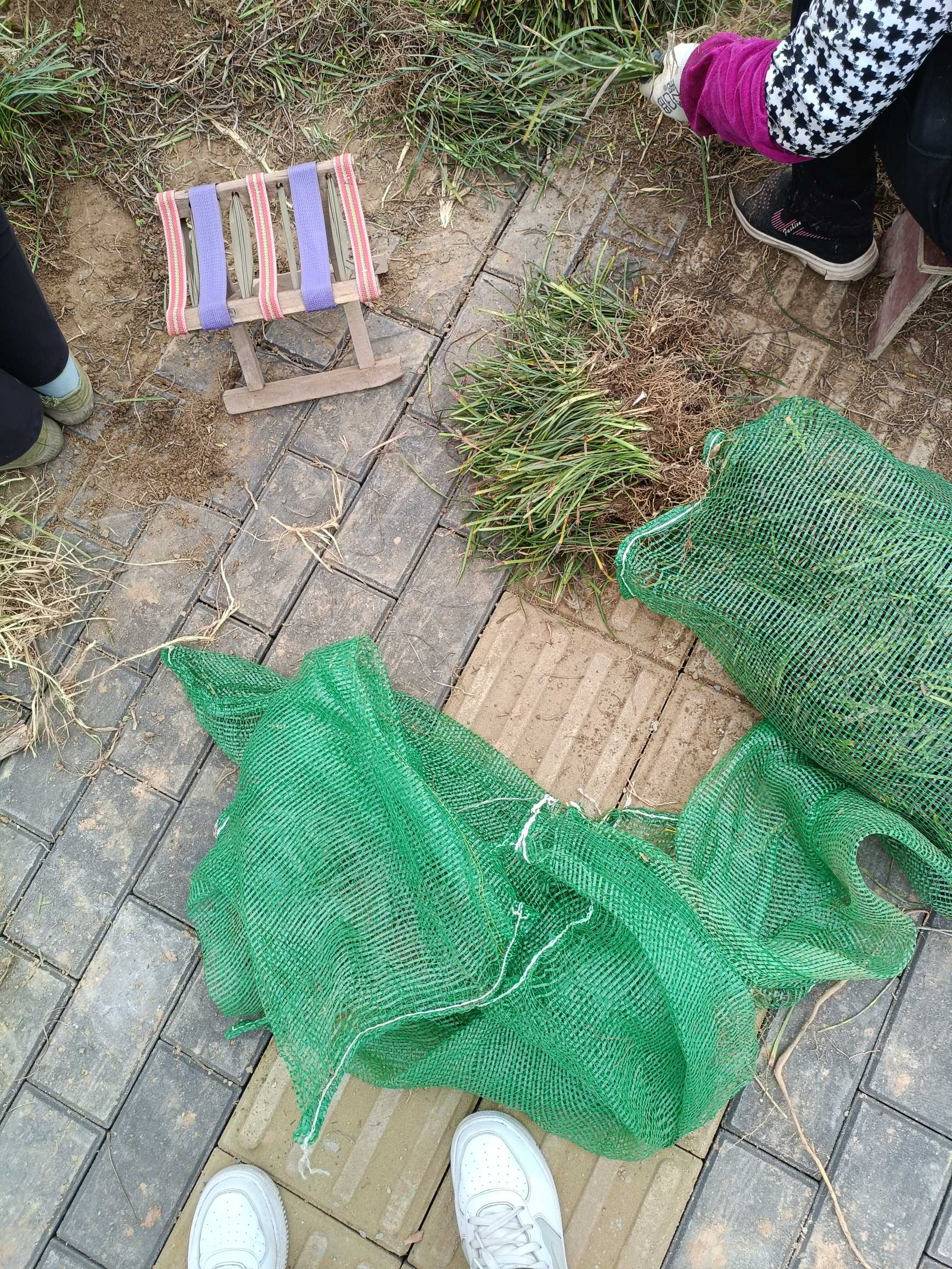 材料采购