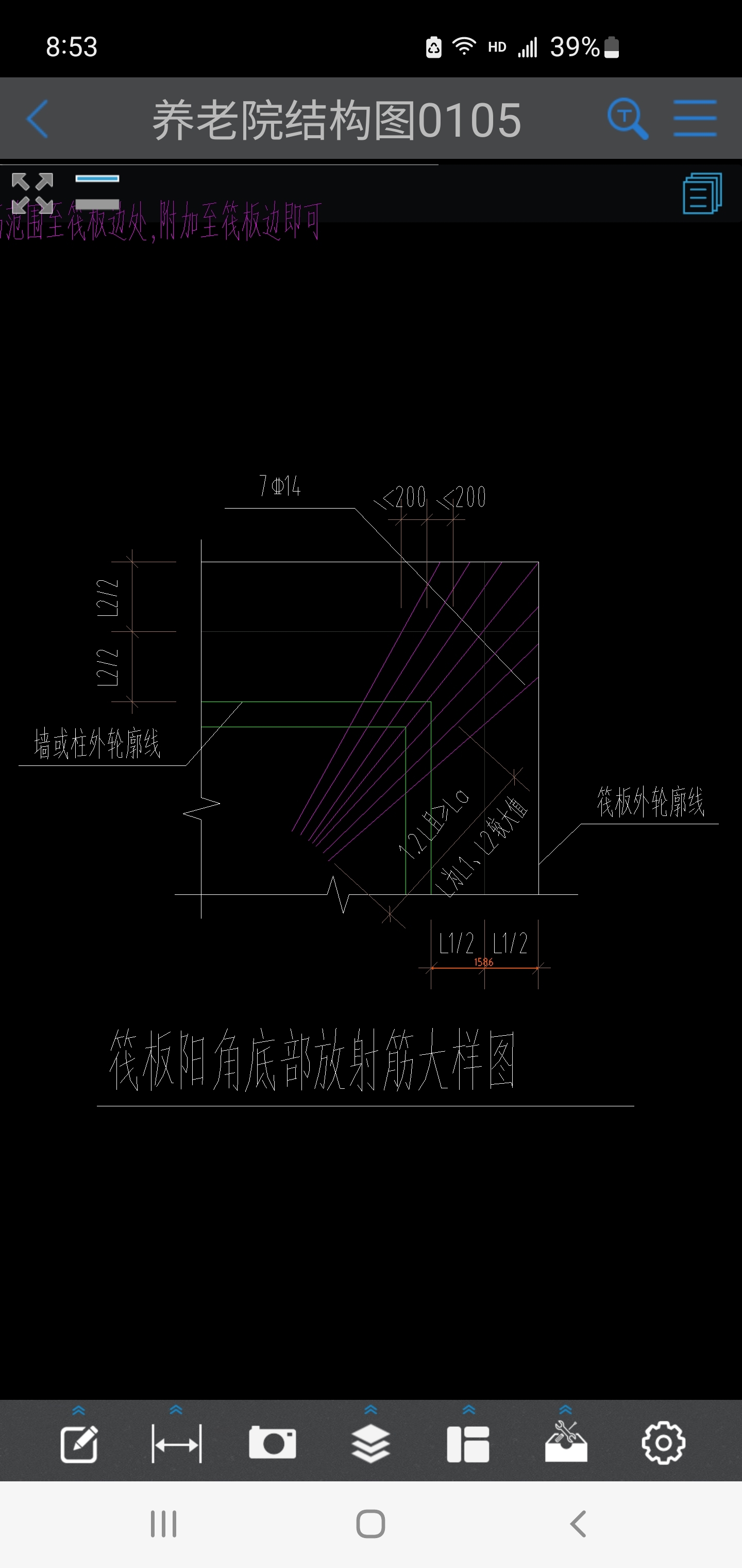 放射筋