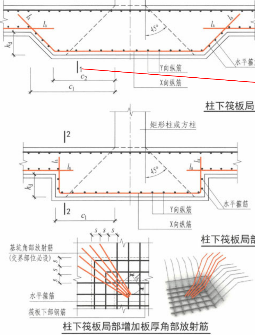放射筋