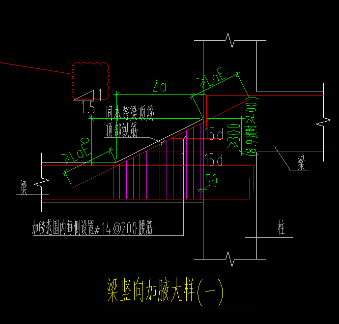 梁加腋