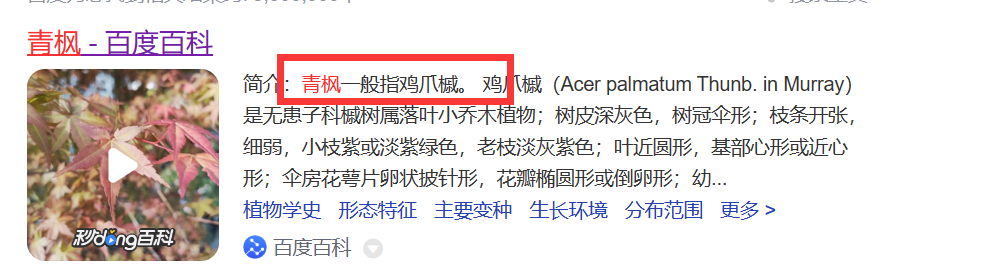 乔木