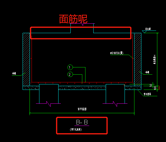 面筋