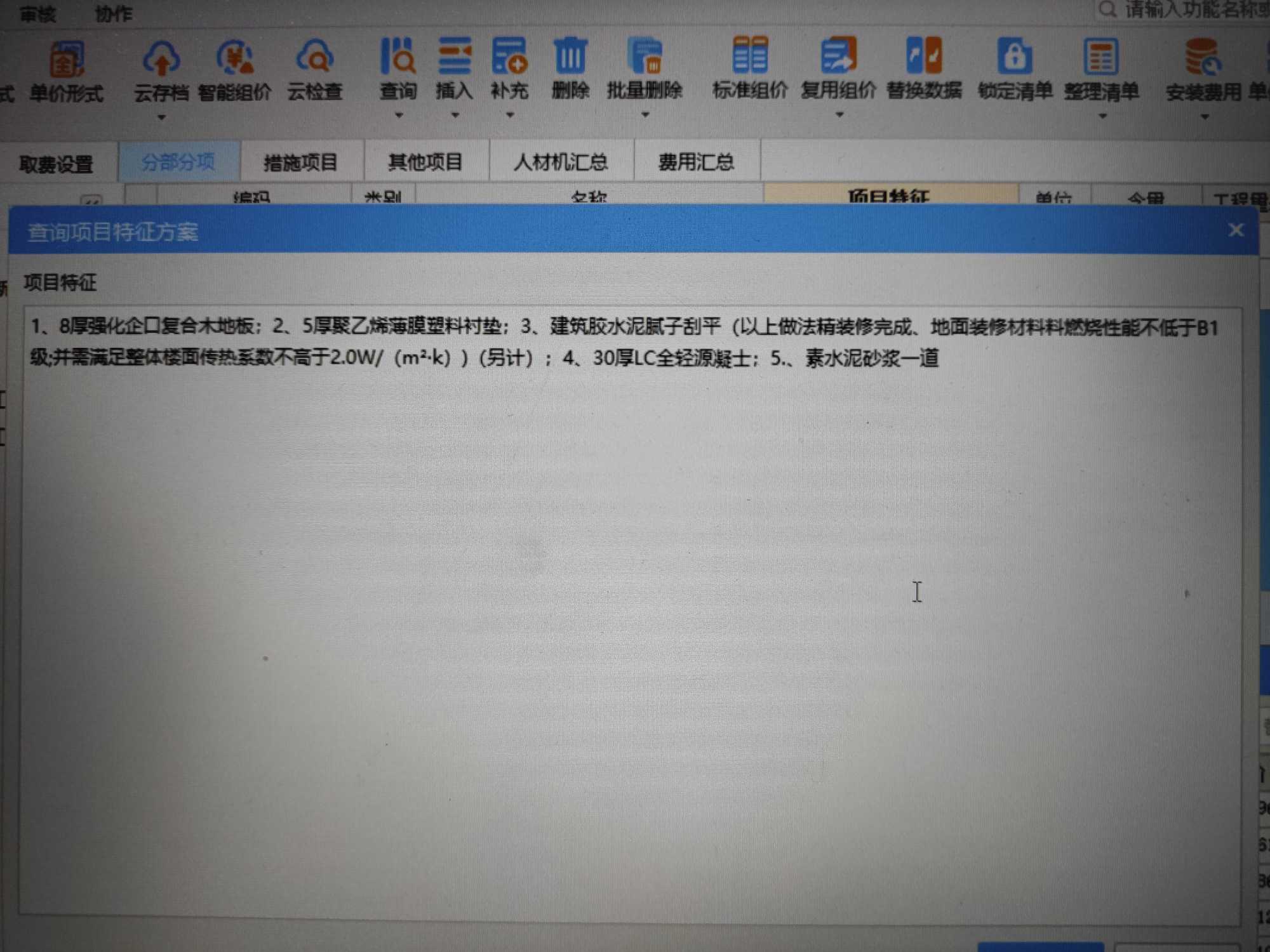 项目特征