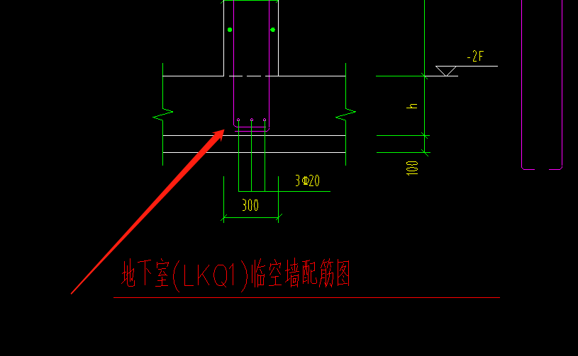 分布筋