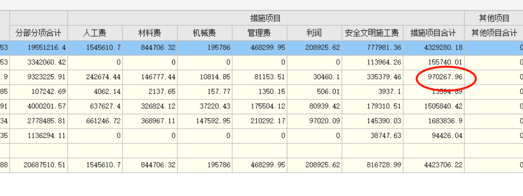 项目合计