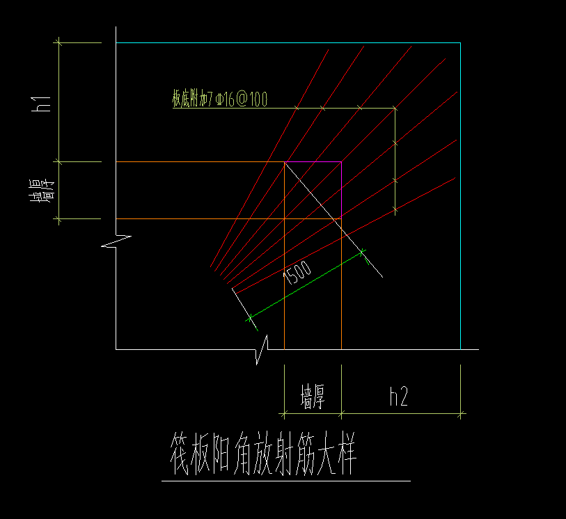 放射筋