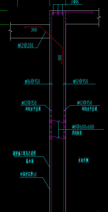 垂直筋