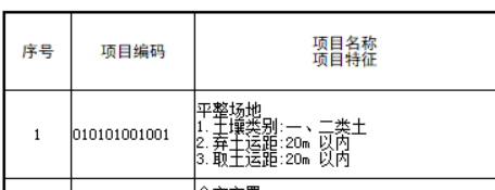 项目特征