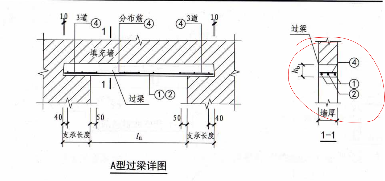 分布筋