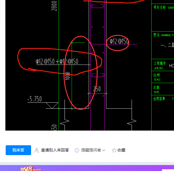 垂直筋