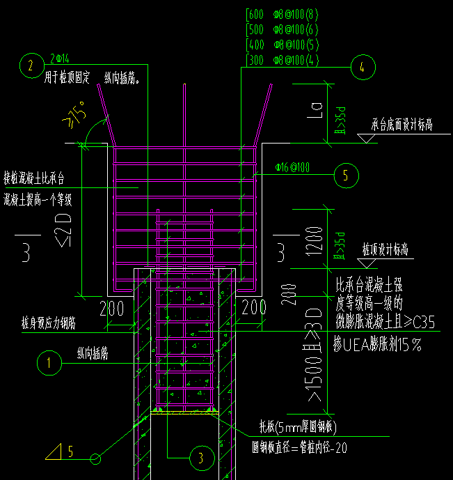 桩头插筋