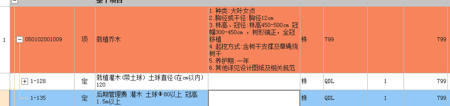 乔木