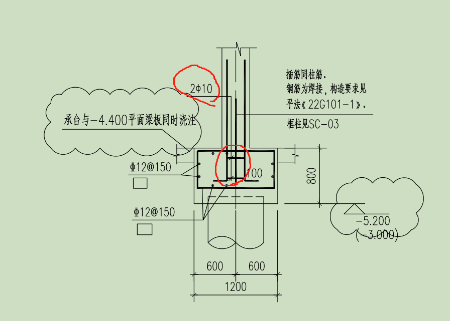 在哪里输入