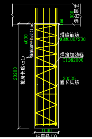 主筋