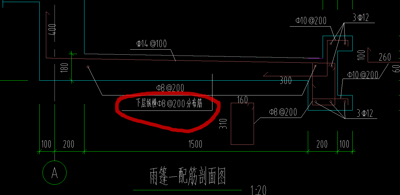 分布筋