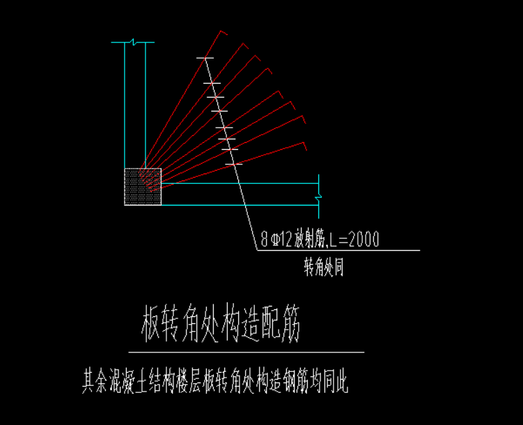 放射筋