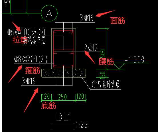 地梁的钢筋