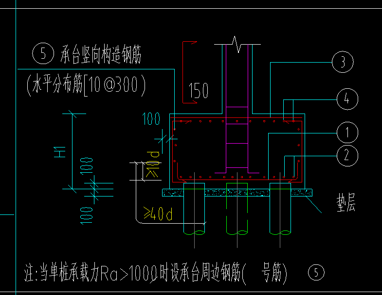 分布筋